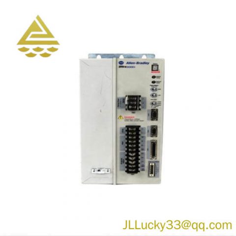 Belt Conveyor Systems + Model 2098-DSD-HV150X-DN Servo Drive