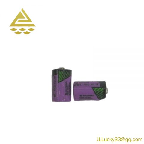 ABB SB808F 3BDM000199R1 Battery for RAM Buffering, 2pcs