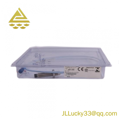 Bently Nevada 330905-00-08-10-02-05, Industrial Control System Module