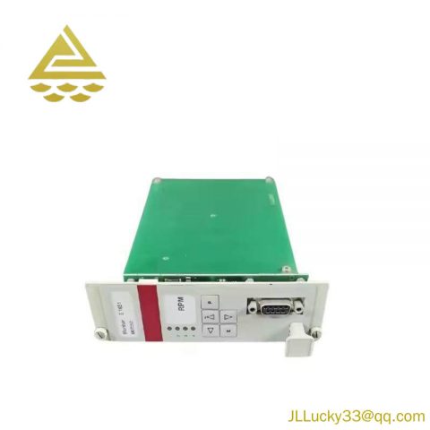 Braun E1667.011 | Industrial Protection Monitoring Module