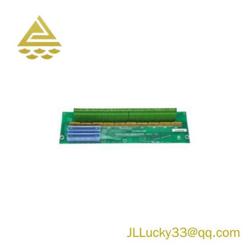 General Electric DS200TBCBG1AAA: Advanced RTD Input Terminal Board