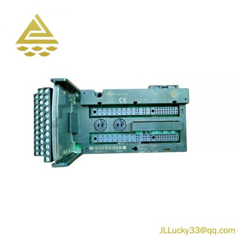 GE IC200CHS022J: Advanced Analog Input Module for Industrial Control