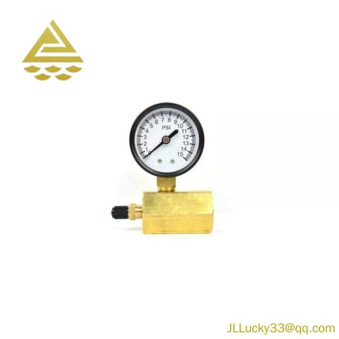 Thrifco Plumbing 8705TPE010S1W0N5 - Gas Pressure Test Gauge, Precision Instrument for Industrial Controls