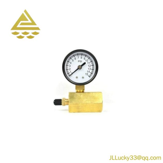 Thrifco Plumbing 8705TPE010S1W0N5 - Gas Pressure Test Gauge, Precision Instrument for Industrial Controls