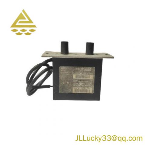 BERU W-ZG 02/V Ignition Transformer - Advanced Engine Control Module