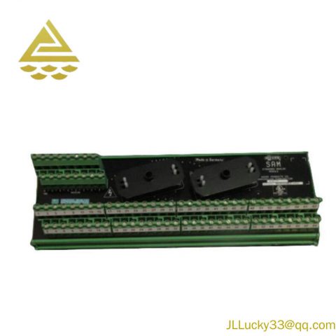 Moore 16169-1-07 SAM: Industrial Analog Module for Precision Control