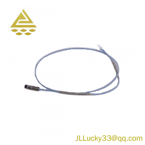 Bently Nevada 330104-00-25-10-02-CN: Advanced Industrial Control Module