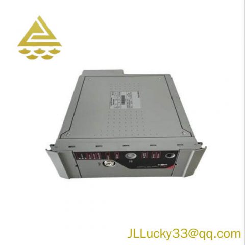 ICS TRIPLEX T8110C Custom Processing Module