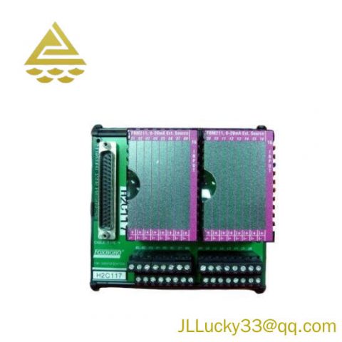 Foxboro P0916JT - I/A Series Control Module