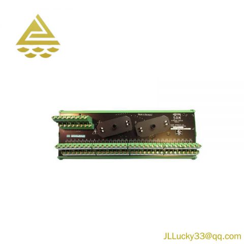SIEMENS 16169-1-07 Analog Input Module